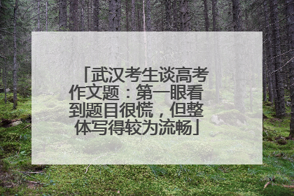 武汉考生谈高考作文题：第一眼看到题目很慌，但整体写得较为流畅
