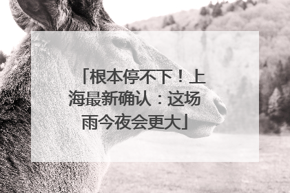 根本停不下！上海最新确认：这场雨今夜会更大