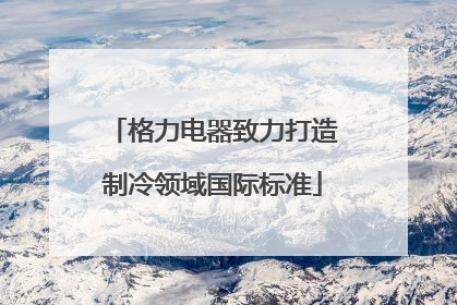 格力电器致力打造制冷领域国际标准