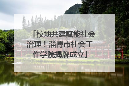 校地共建赋能社会治理！淄博市社会工作学院揭牌成立
