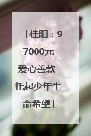 桂阳：97000元爱心善款 托起少年生命希望