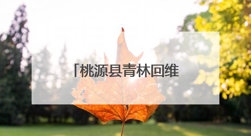 桃源县青林回维乡：入户查实情 监督保公平