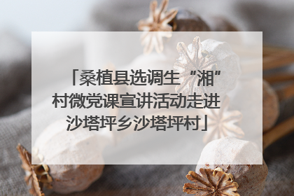 桑植县选调生“湘”村微党课宣讲活动走进沙塔坪乡沙塔坪村