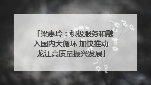 梁惠玲：积极服务和融入国内大循环 加快推动龙江高质量振兴发展