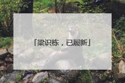 梁识栋，已履新