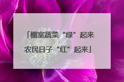 棚室蔬菜“绿”起来 农民日子“红”起来