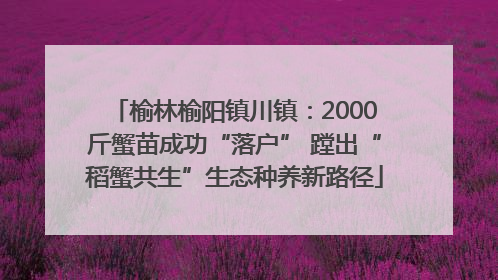 榆林榆阳镇川镇：2000斤蟹苗成功“落户” 蹚出“稻蟹共生”生态种养新路径