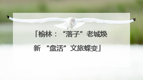榆林：“落子”老城焕新 “盘活”文旅蝶变