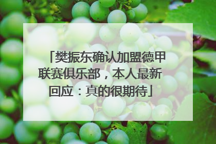 樊振东确认加盟德甲联赛俱乐部，本人最新回应：真的很期待