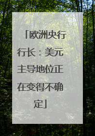 欧洲央行行长：美元主导地位正在变得不确定
