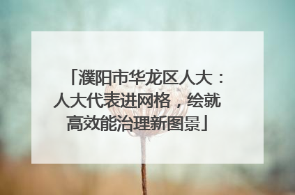 濮阳市华龙区人大：人大代表进网格，绘就高效能治理新图景