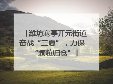 潍坊寒亭开元街道奋战“三夏”，力保“颗粒归仓”