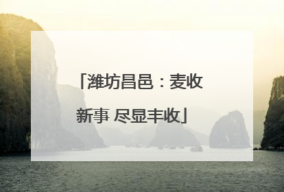 潍坊昌邑：麦收新事 尽显丰收