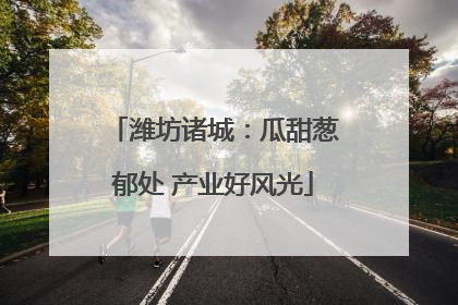 潍坊诸城：瓜甜葱郁处 产业好风光