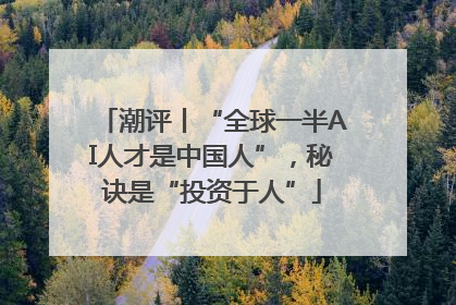 潮评丨“全球一半AI人才是中国人”，秘诀是“投资于人”