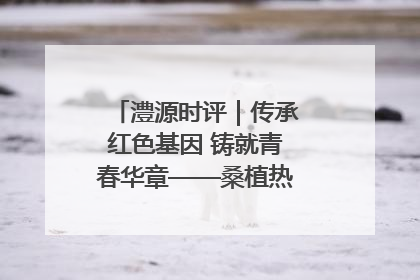 澧源时评｜传承红色基因 铸就青春华章——桑植热土上的青春长征