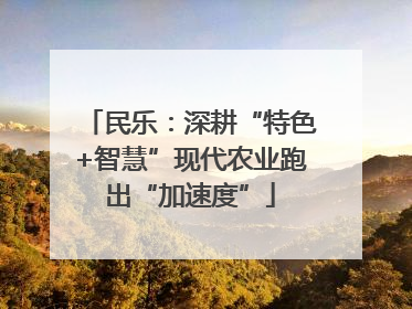 民乐：深耕“特色+智慧”现代农业跑出“加速度”