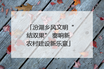 汾湖乡风文明“结双果” 奏响新农村建设新乐章