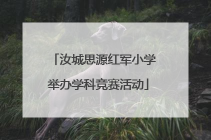 汝城思源红军小学举办学科竞赛活动