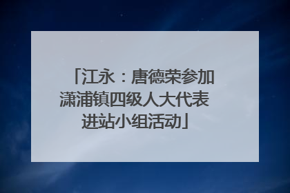 江永：唐德荣参加潇浦镇四级人大代表进站小组活动