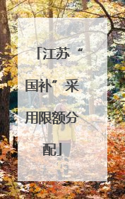 江苏“国补”采用限额分配
