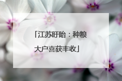 江苏盱眙：种粮大户喜获丰收