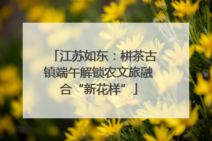江苏如东：栟茶古镇端午解锁农文旅融合“新花样”
