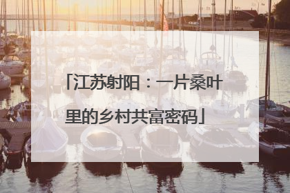 江苏射阳：一片桑叶里的乡村共富密码