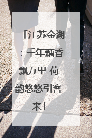 江苏金湖：千年藕香飘万里 荷韵悠悠引客来