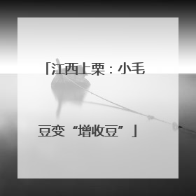 江西上栗：小毛豆变“增收豆”