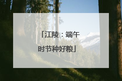 江陵：端午时节种好粮