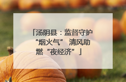 汤阴县：监督守护“烟火气” 清风助燃“夜经济”