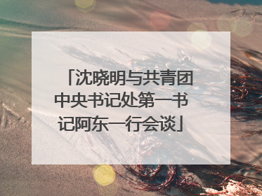 沈晓明与共青团中央书记处第一书记阿东一行会谈