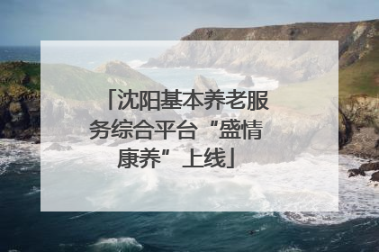 沈阳基本养老服务综合平台“盛情康养”上线