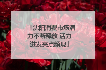 沈阳消费市场潜力不断释放 活力迸发亮点频现