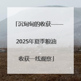 沉甸甸的收获——2025年夏季粮油收获一线观察