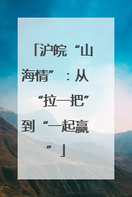 沪皖“山海情”：从“拉一把”到“一起赢”