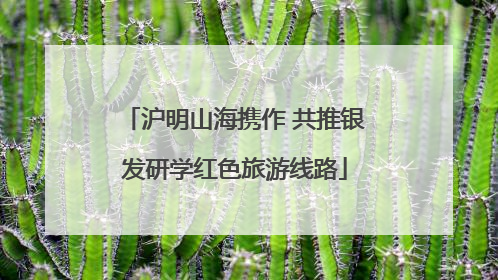 沪明山海携作 共推银发研学红色旅游线路
