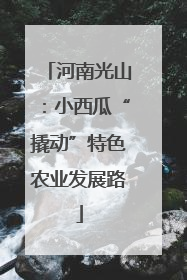 河南光山：小西瓜“撬动”特色农业发展路