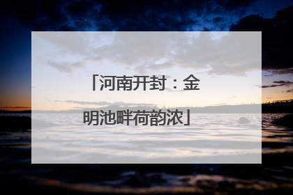 河南开封：金明池畔荷韵浓