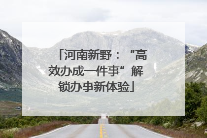 河南新野：“高效办成一件事”解锁办事新体验
