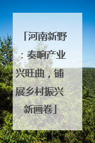河南新野：奏响产业兴旺曲，铺展乡村振兴新画卷