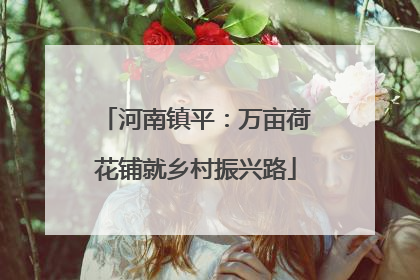 河南镇平：万亩荷花铺就乡村振兴路