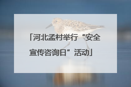 河北孟村举行“安全宣传咨询日”活动
