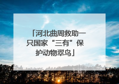 河北曲周救助一只国家“三有”保护动物翠鸟