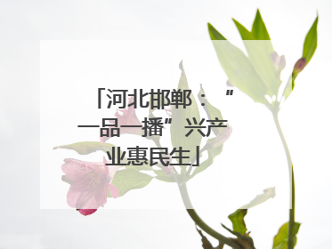 河北邯郸：“一品一播”兴产业惠民生