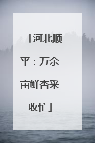 河北顺平：万余亩鲜杏采收忙