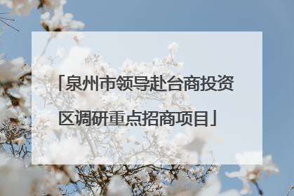 泉州市领导赴台商投资区调研重点招商项目