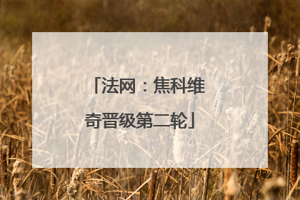 法网：焦科维奇晋级第二轮