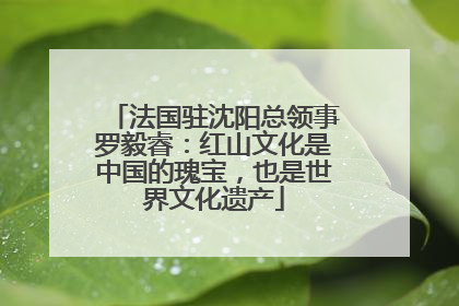 法国驻沈阳总领事罗毅睿：红山文化是中国的瑰宝，也是世界文化遗产
